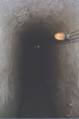 A tunnel at Rottnest