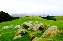 Some of the stones that gave Stony Batter its name